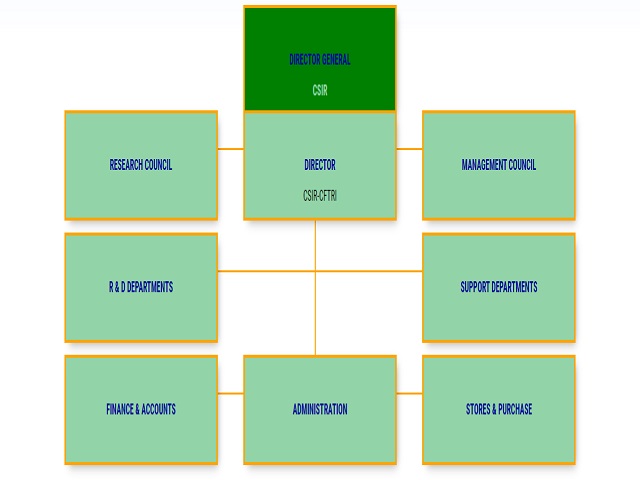 Organization Structure CFTRI
